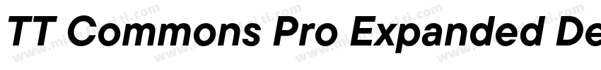 TT Commons Pro Expanded DemiBold字体转换